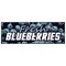 Signmission FRESH BLUEBERRIES BANNER SIGN fruit stand cart produce farmers market farm B-72 Fresh Blueberries - alternate 1